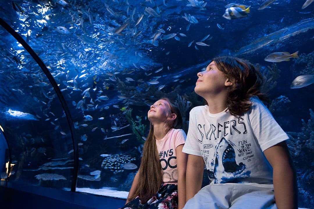 Antalya Aquarium